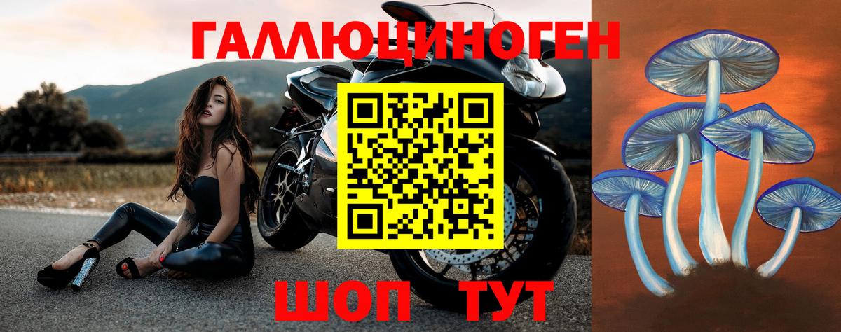 Галлюциногенные грибы Magic Shrooms Жуковский