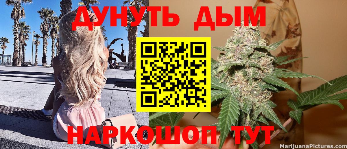 Канабис сатива Жуковский